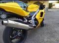 Triumph Daytona 955i Yellow - thumbnail 6