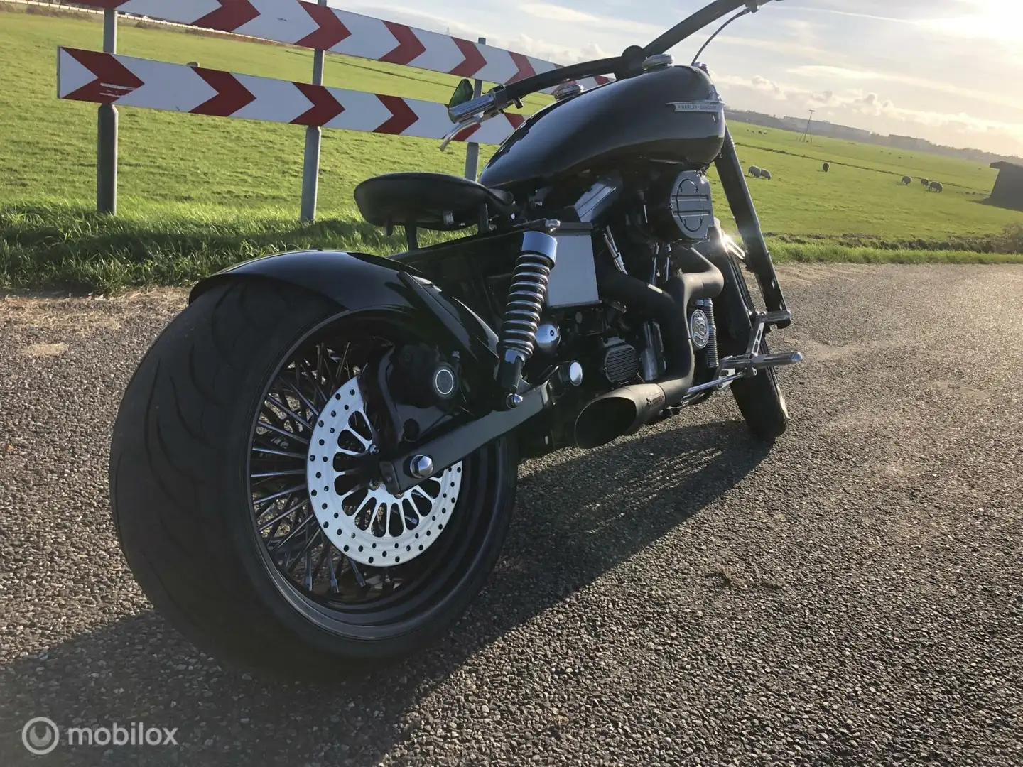 Harley-Davidson Super Glide FXD - 2