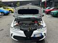 Alfa Romeo Giulia Tonale My23 Plug In Hybrid Q4280cv Veloce Weiß - thumbnail 24