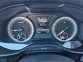 Skoda Kodiaq Kodiaq 2.0 tdi Executive dsg targa GA495XV  aut. Grau - thumbnail 12