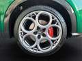 Alfa Romeo Tonale 1.5 MHEV Speciale FWD Verde - thumbnail 13