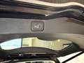 Ford Galaxy 2,0 EcoBlue Vignale AWD Aut. Tempomat, Kollisio... Schwarz - thumbnail 20