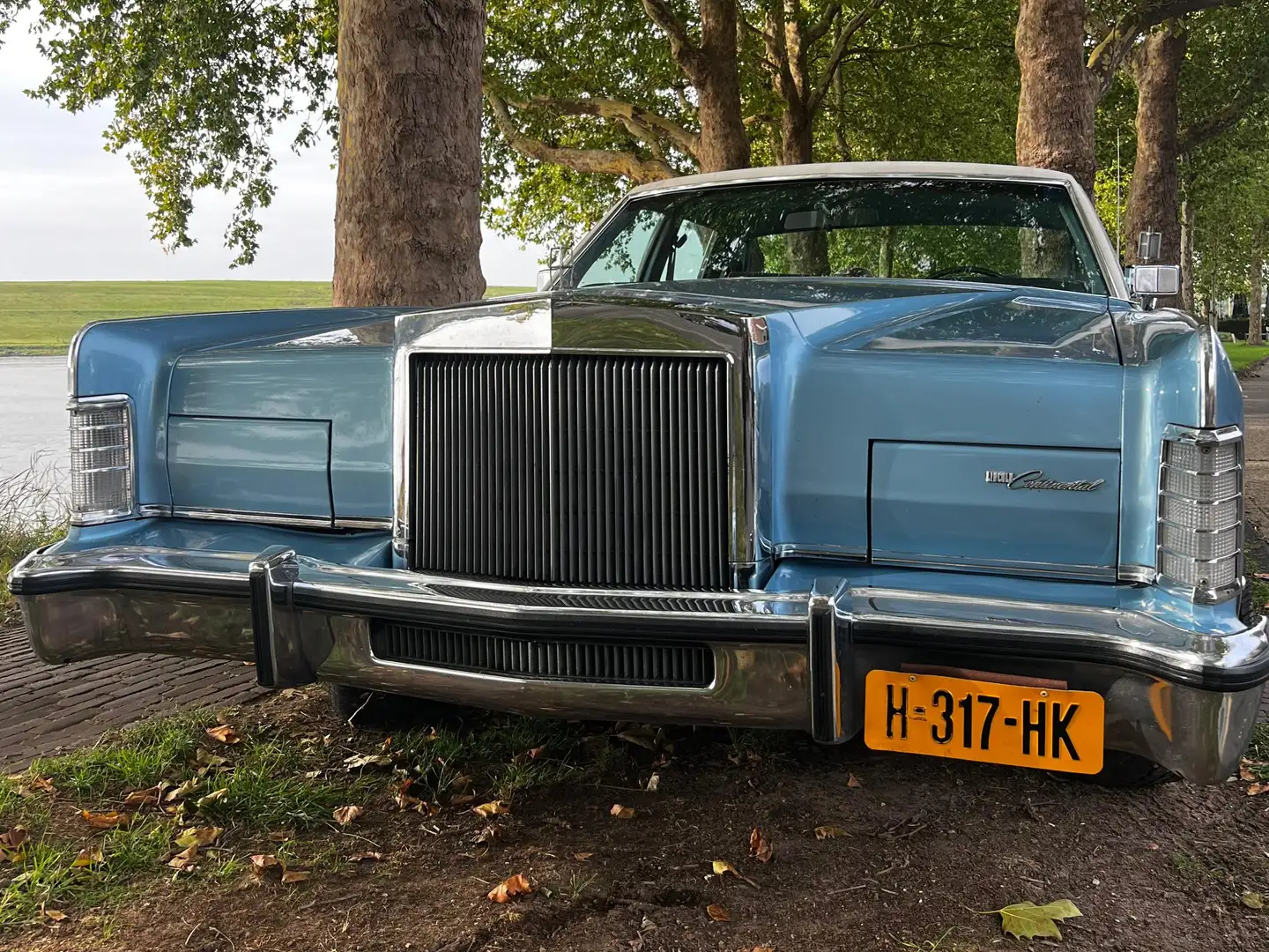 Lincoln Town Car Town Car Blue - 1