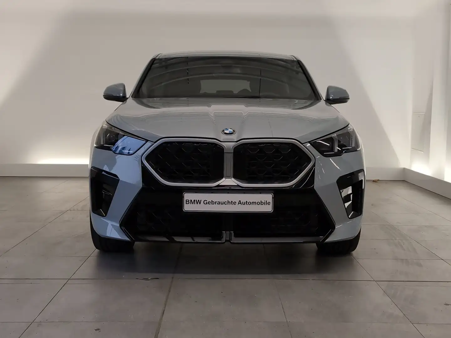 BMW X2 xDrive20d M Sport Navi/LED/AHK/HiFi/DAB/LR-Hz Grau - 2