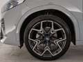 BMW X2 xDrive20d M Sport Navi/LED/AHK/HiFi/DAB/LR-Hz Grau - thumbnail 10