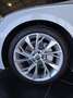 Audi A5 A5 Cabrio 40 2.0 tdi 190cv s-tronic Weiß - thumbnail 7