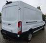Ford Transit 350 L3 Trend Blanco - thumbnail 4