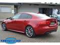 Jaguar XE R-Sport ,ACC,Bi Xenon Rot - thumbnail 8