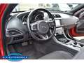 Jaguar XE R-Sport ,ACC,Bi Xenon Rot - thumbnail 11