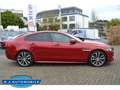 Jaguar XE R-Sport ,ACC,Bi Xenon Rot - thumbnail 4