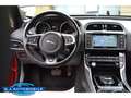 Jaguar XE R-Sport ,ACC,Bi Xenon Rot - thumbnail 14