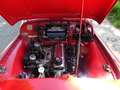 Triumph TR3 Rot - thumbnail 8