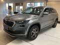 Skoda Kodiaq Kodiaq 2.0 TDI 4x4 DSG Tour Grau - thumbnail 13