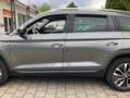 Skoda Kodiaq Kodiaq 2.0 TDI 4x4 DSG Tour Grau - thumbnail 1