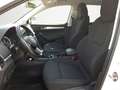 Skoda Karoq 2.0TDI DSG 4x4 Amb. Navi/Sthz/SmartLink Blanco - thumbnail 12