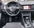 Skoda Kodiaq 1.5 TSI Business Edition 7p. Blauw - thumbnail 20