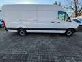 Mercedes-Benz Sprinter 317 CDI 31°°°KM|9G|FACELIFT|OHNE SCHÄDE Weiß - thumbnail 4