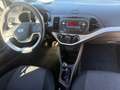 Kia Picanto Attract Weiß - thumbnail 9