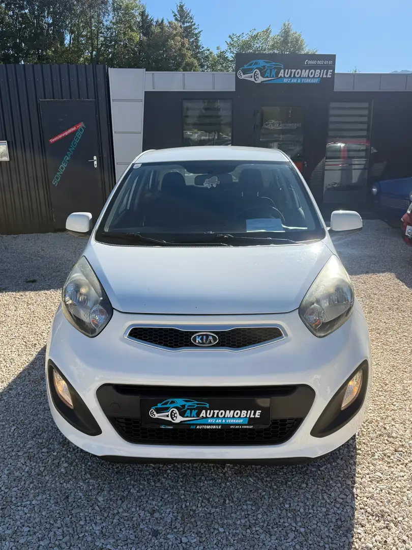 Kia Picanto Attract Weiß - 1