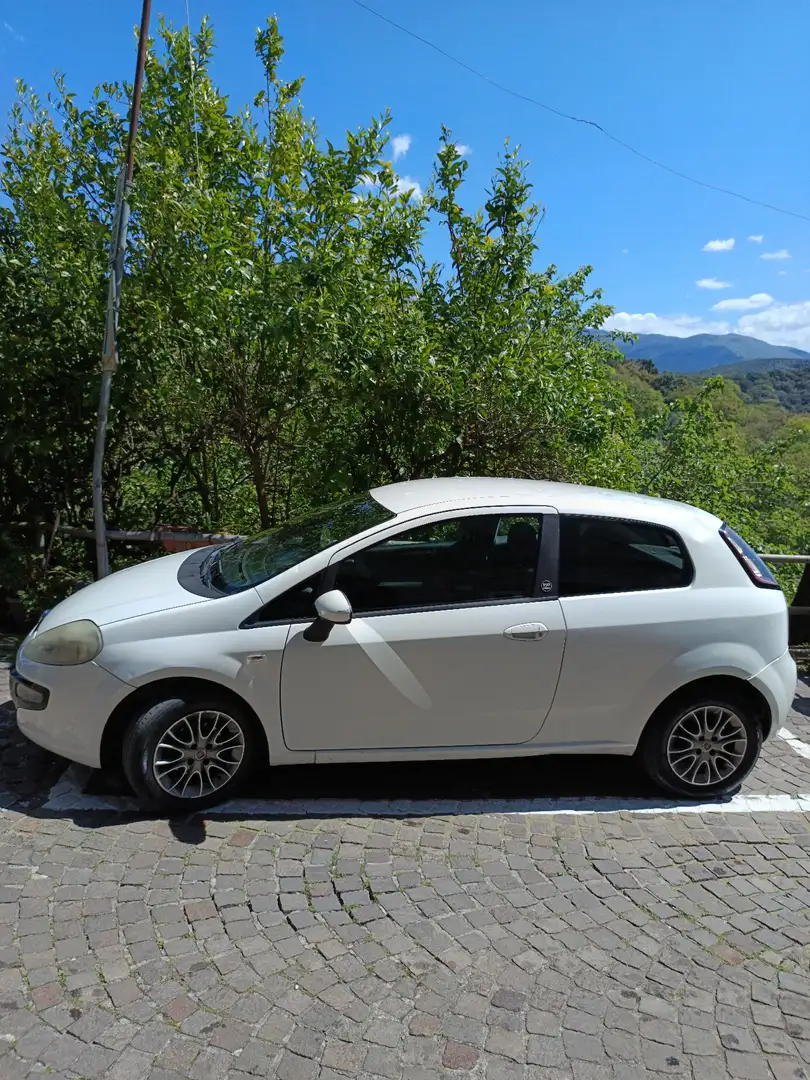 Fiat Punto Evo 3p 1.3 mjt Dynamic s&s 75cv dpf - 2