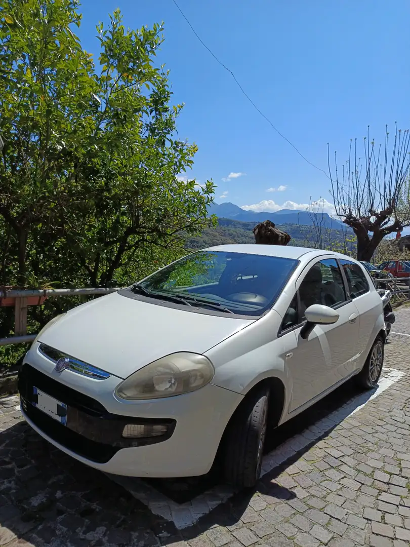 Fiat Punto Evo 3p 1.3 mjt Dynamic s&s 75cv dpf - 1