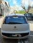 Fiat Punto Evo 3p 1.3 mjt Dynamic s&s 75cv dpf - thumbnail 6