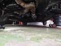 Mitsubishi Galant Galant 2.5 V6 Avance Vert - thumbnail 16