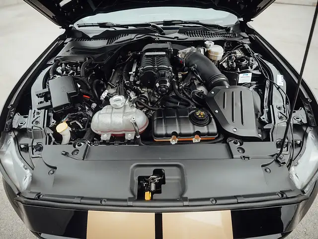 Ford Mustang Shelby GT-H 500 "Executive Car" Hertz Limited E... Ansicht 22