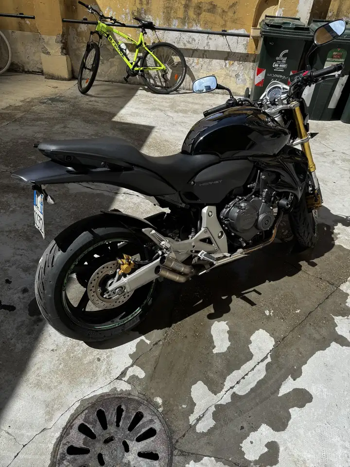 Honda Hornet