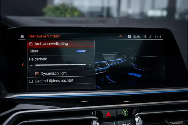 BMW X5 view 18