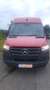 Mercedes-Benz Sprinter 316 CDI L2H2 12.000€ netto Rot - thumbnail 2