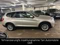 BMW X3 xDrive20i Leder,Keyless,Head-Up,Kamera,1.Hand Argento - thumbnail 13