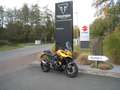Triumph Tiger Sport 800 - Sofort Verfügbar!!! Žlutá - thumbnail 1