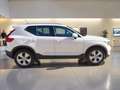 Volvo XC40 T2 Momentum Aut. Blanco - thumbnail 6