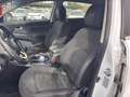 Kia Sportage 1.6 GDI Drive Weiß - thumbnail 8