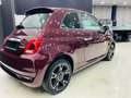Fiat 500 500 1.0 hybrid Sport 70cv Panoramico Navy CarPlay Rosso - thumbnail 4