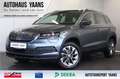 Skoda Karoq 2.0 TDI Clever AID+ACC+SIDE+KEY+LED+17" Grau - thumbnail 1