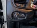 Jeep Renegade 1.0 GSE T3 120CH BROOKLYN EDITION MY21 Blanc - thumbnail 14
