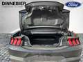 Ford Mustang GT CONVERTIBLE 5.0 LED+Kamera+Navi Grau - thumbnail 8