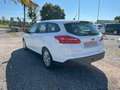 Ford Focus 1.5 TdCi Turbo 95ch Blanc - thumbnail 8