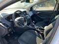 Ford Focus 1.5 TdCi Turbo 95ch Blanc - thumbnail 11
