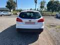 Ford Focus 1.5 TdCi Turbo 95ch Blanc - thumbnail 5