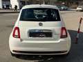 Fiat 500 1.0 hybrid CARPLAY/NEOPATENTATI 70cv PROMO FIN Wit - thumbnail 5