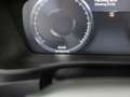 Volvo XC40 T3 Momentum Pro SHZ KAMERA NAVI LED AHK Gris - thumbnail 11