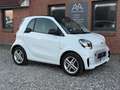 smart forTwo fortwo EQ coupe electric drive Schnelllader Weiß - thumbnail 8