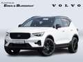 Volvo XC40 Plus Black Edition Weiß - thumbnail 1