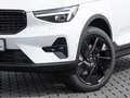 Volvo XC40 Plus Black Edition Weiß - thumbnail 3