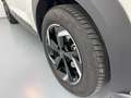 Nissan Juke *PROMO KASKO* N-CONNECTA 1.0 DIG-T 114 CV 2WD Bianco - thumbnail 13