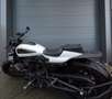 Harley-Davidson Sportster RH1250S (bj2021) btw motor Wit - thumbnail 13