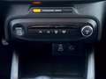 Ford Focus Active 1.0 ecoboost h s&s 125cv my20.75 Grigio - thumbnail 13